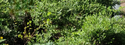 einfaches Hintergrund